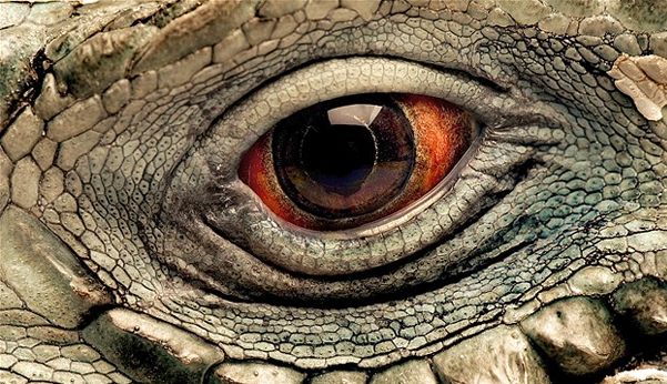 Do�an�n g�z�n�n i�ine bak�n!